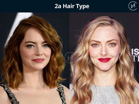 Type 2 hair. Things To Know About Type 2 hair. 